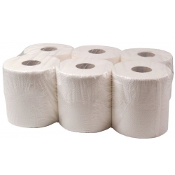 Ręcznik Papierowy Celuloza 2W a6 100m HS557 6 sztuk